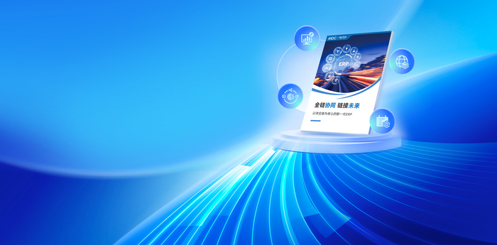 定制化软件开发与技术支持